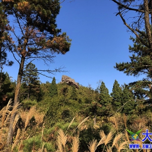 ��������˶��磬��ƶ�����֮�ˣ����ž�Ӫ�������ʱ����ũ��